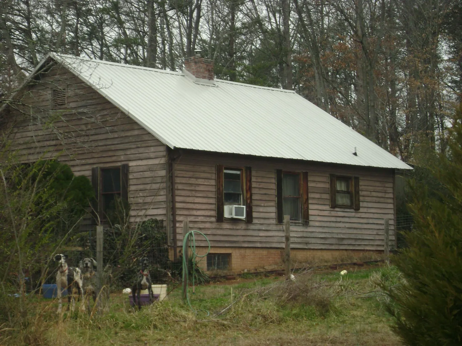 White metal roof on an old wood sided farmhouse, from a Asphalt Shingle Roof Repair job in Trinity